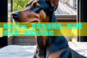 糖心Vlog：真实生活瞬间，高清视频分享，深度社交互动