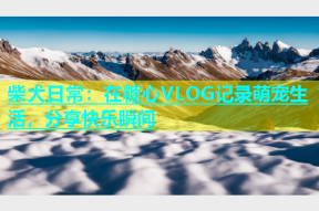 柴犬日常：在糖心VLOG记录萌宠生活，分享快乐瞬间