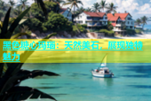 黑色糖心玛瑙：天然美石，展现独特魅力