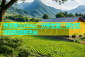 探索糖心Vlog：分享生活、实时互动的短视频平台