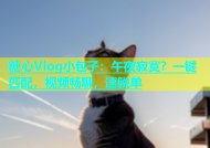 糖心Vlog小包子：午夜寂寞？一键匹配，视频畅聊，速脱单