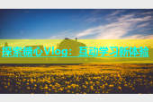 探索糖心Vlog：互动学习新体验