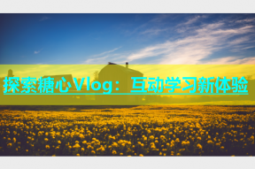 探索糖心Vlog：互动学习新体验