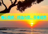 糖心视频：精选内容，尽享视界