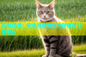 百度网盘：安全高效的文件存储与分享平台