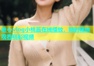 糖心vlog小桃酱在线播放，随时随地观看精彩视频