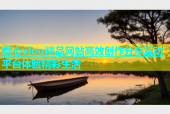 糖心vlog精品网站高效创作分享互动平台体验精彩生活