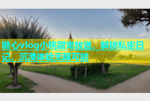 糖心vlog小桃甜宠放送，解锁私密日记，沉浸体验无限可能