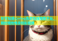 创可贴糖心vlog免费在线观看平台，随时随地畅享精彩视频