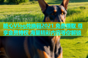 糖心Vlog兑换码2021 免费领取 尊享会员特权 海量精彩内容等你解锁