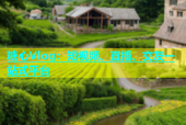 糖心Vlog：短视频、直播、交友一站式平台