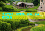 糖心Vlog：短视频、直播、交友一站式平台