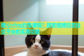 糖心vlog约靠谱吗？探索视频日志社交平台的实用功能