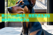 糖心VLog唐伯虎：探索真实生活与幽默瞬间的完美平台