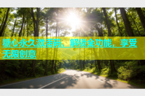 糖心永久激活码，解锁全功能，享受无限创意