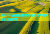 糖心vlog精国品精选推荐打造专属高品质生活体验