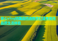 糖心vlog精国品精选推荐打造专属高品质生活体验