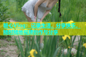 糖心Vlog：记录生活，分享快乐，随时随地视频创作与分享