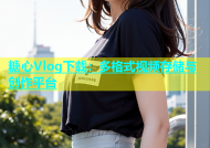 糖心Vlog下载：多格式视频存储与创作平台