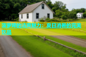 菠萝啤的清爽魅力：夏日消暑的完美饮品