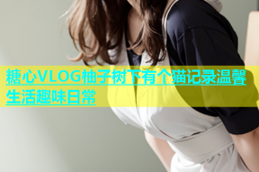 糖心VLOG柚子树下有个猫记录温馨生活趣味日常