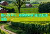 糖心VLOG：短视频分享与社交互动平台