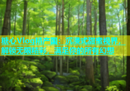 糖心Vlog精产国：沉浸式甜蜜视界，解锁无限精彩，满足你的所有幻想