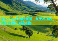 糖心vlog激活码贴吧：分享激活码，解锁视频创作新体验