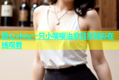糖心vlog一只小嘤嘤治愈日常精彩在线观看