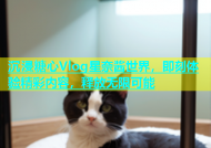沉浸糖心Vlog星奈酱世界，即刻体验精彩内容，释放无限可能