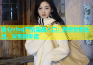 糖心vlog产精国品入口：探索优质生活，发现新潮流