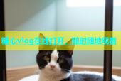 糖心vlog在线打开，随时随地观看
