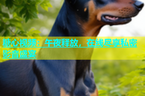 糖心视频：午夜释放，在线尽享私密影音盛宴