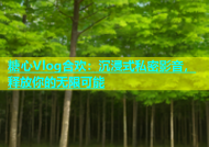 糖心Vlog合欢：沉浸式私密影音，释放你的无限可能
