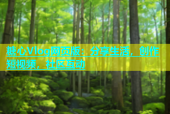 糖心Vlog网页版：分享生活，创作短视频，社区互动