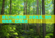 糖心Vlog网页版：分享生活，创作短视频，社区互动
