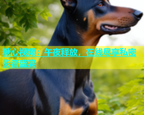 糖心视频：午夜释放，在线尽享私密影音盛宴  第1张