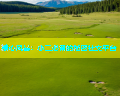 糖心风暴：小三必备的秘密社交平台  第1张