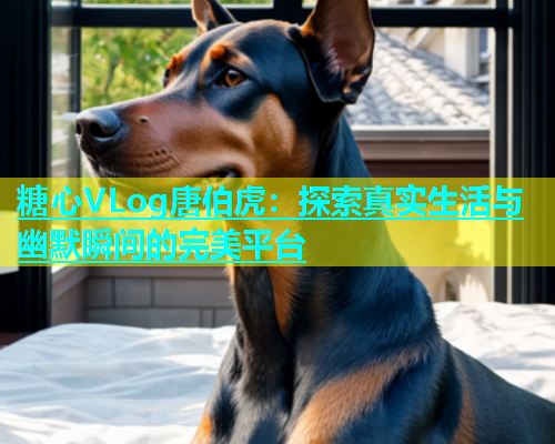 糖心VLog唐伯虎：探索真实生活与幽默瞬间的完美平台  第1张