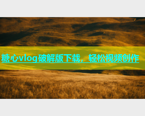 糖心vlog破解版下载，轻松视频创作  第1张